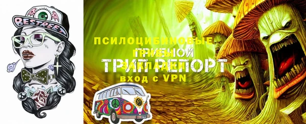 прущие крисы Абаза