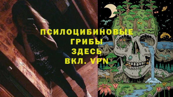 ешки Абинск