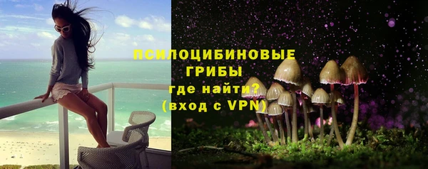 ешки Абинск