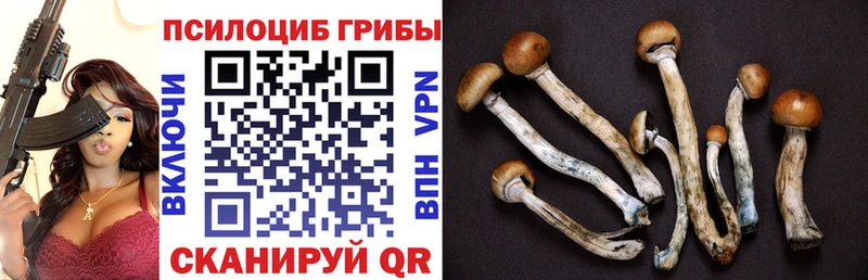 Галлюциногенные грибы GOLDEN TEACHER  блэк спрут ссылки  Шлиссельбург 